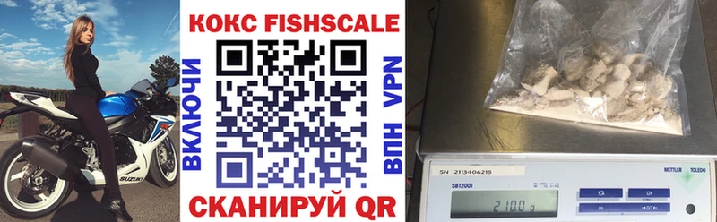 КОКАИН Fish Scale  Купить где  Кодинск 